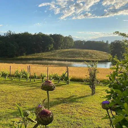 Maison Lacourrege Bed and Breakfast *