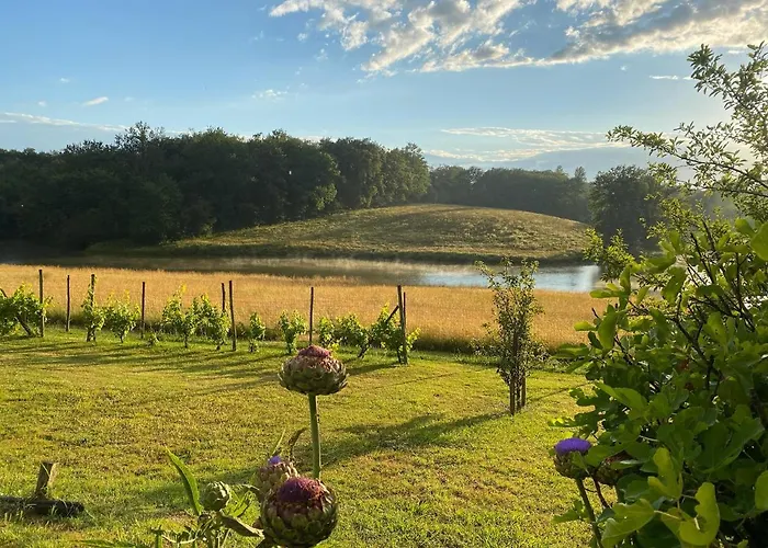 Maison Lacourrege Bed & Breakfast *